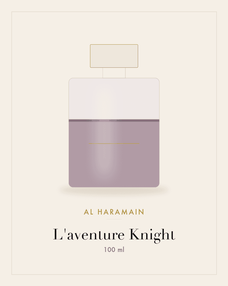 L'aventure Knight